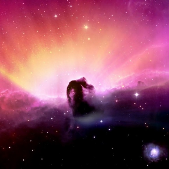 Meet your Posher, Ching - Picture 1 of 1